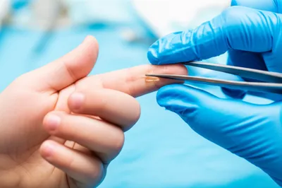 Illustration delicately - Image 1