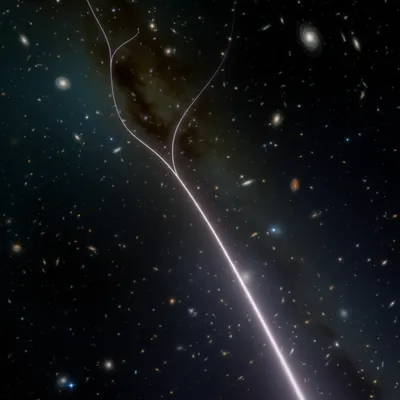 Illustration longest - Image 1