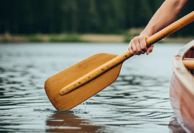 Illustration paddle - Image 1