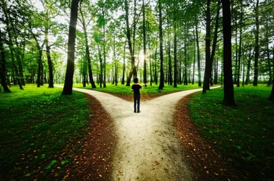 Illustration make - Image 1