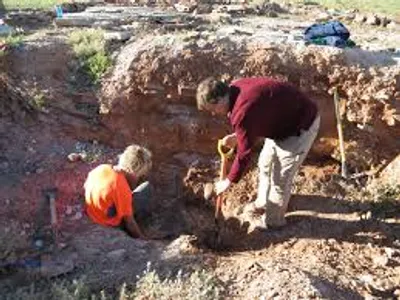 Illustration excavate - Image 3