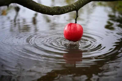 Illustration plunking