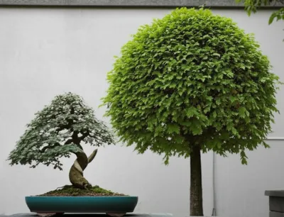 Illustration stunts - Image 1