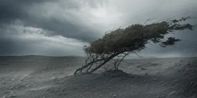 Illustration northwesterly