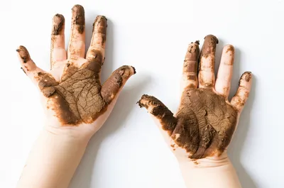 Illustration ditches - Image 1