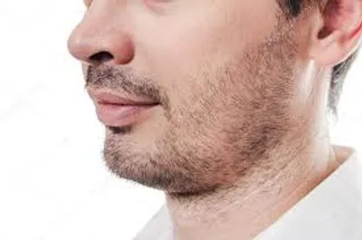 Illustration bristle - Image 2