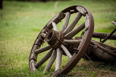 Illustration cartwheels