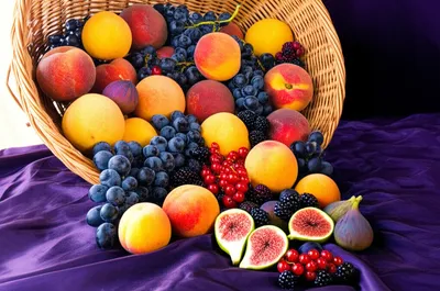 Illustration fructifying - Image 1