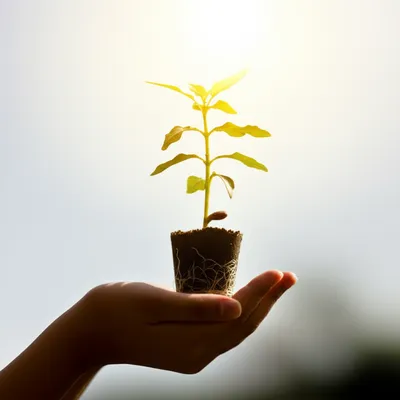 Illustration elevate