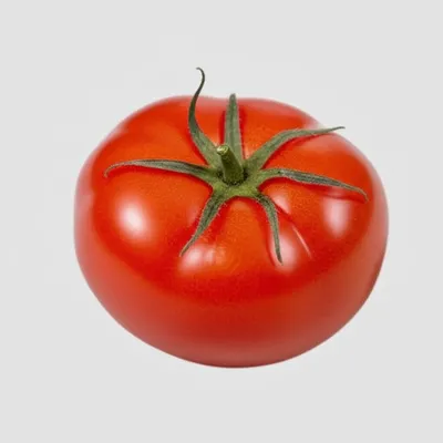 Illustration bunged - Image 1