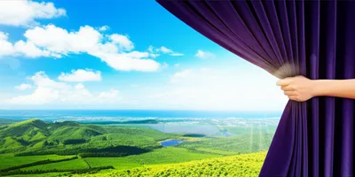 Illustration yank - Image 1