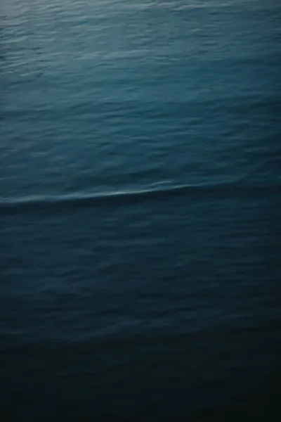 Illustration ultramarine - Image 2