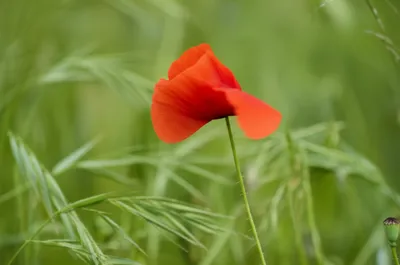 Illustration stirs - Image 1