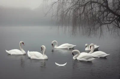 Illustration lamentations - Image 1