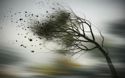 Illustration wavers - Image 1