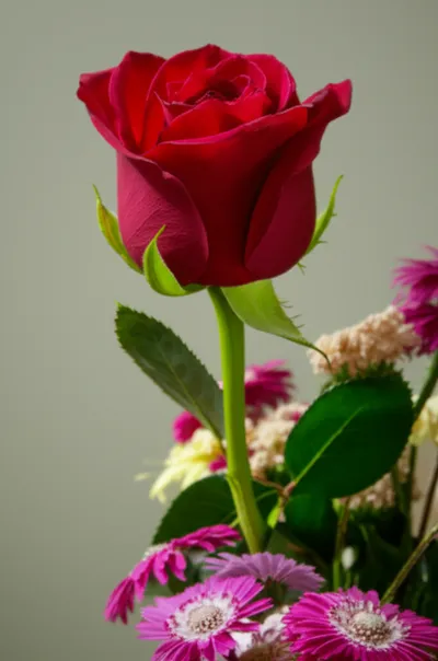 Illustration stiffer - Image 1