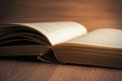 Illustration folio - Image 1