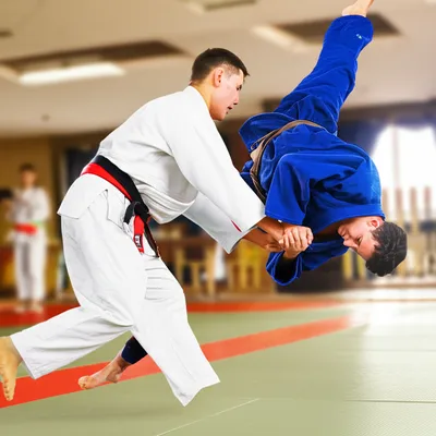 Illustration judo - Image 1