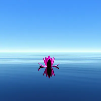 Illustration undisturbed