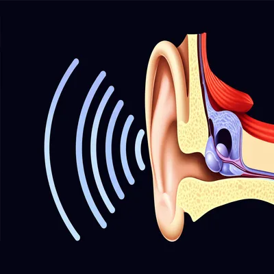 Illustration hearing - Image 1