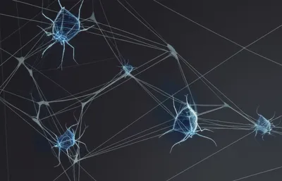 Illustration web - Image 1