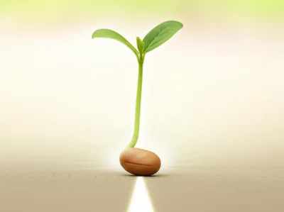 Illustration descendant - Image 1