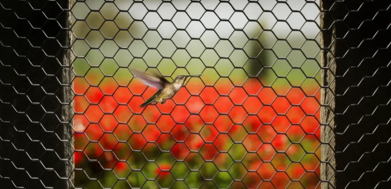 Illustration visuelle du mot « interdiction » - Interdiction, prohibition