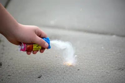 Illustration snappers - Image 1