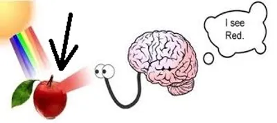 Illustration phenomenon - Image 2