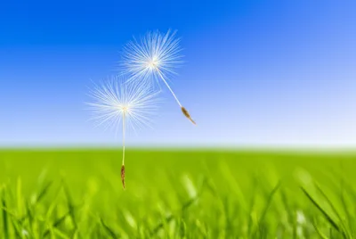 Illustration smallness - Image 1