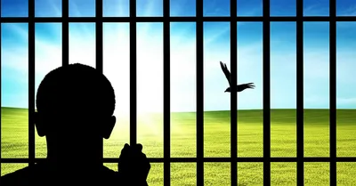 Illustration bailed - Image 1