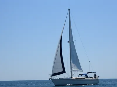 Illustration leach - Image 1