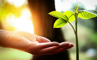 Illustration subsidise