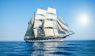 Illustration fair - Image 1