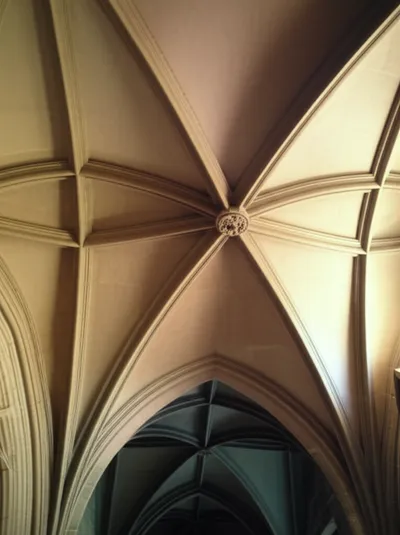 Illustration groin - Image 1