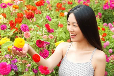 Illustration bloomed - Image 1