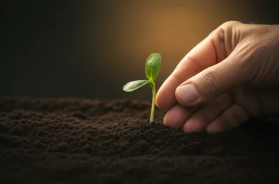 Illustration nurses - Image 1