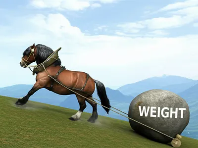 Illustration hp - Image 1