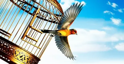 Illustration unlocked - Image 1