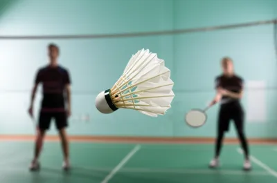 Illustration cock - Image 1