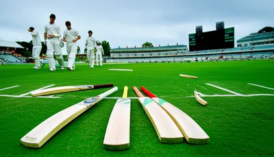 Illustration collapsed - Image 1