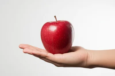 Illustration tender - Image 1