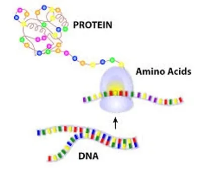 Hình ảnh minh họa code - Ảnh 3