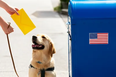 Illustration posting - Image 1