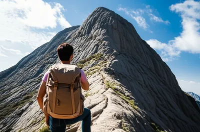 Illustration undertaking