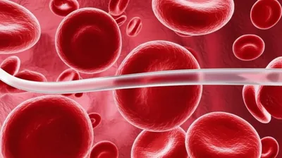 Illustration capillary