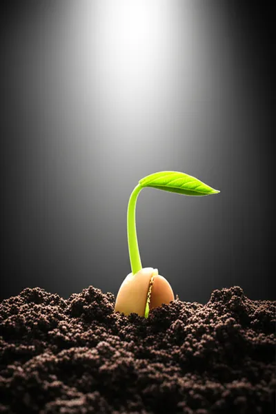 Illustration awakening