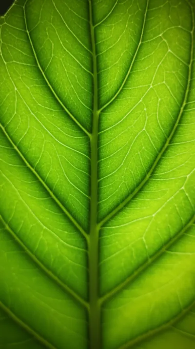 Hình ảnh minh họa nerving - Ảnh 1