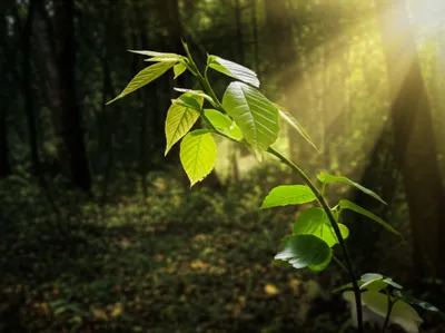 Illustration tending - Image 1