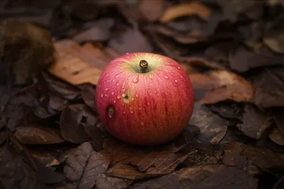 Illustration decaying - Image 1